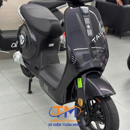 XE ĐIỆN TAILG GR58
