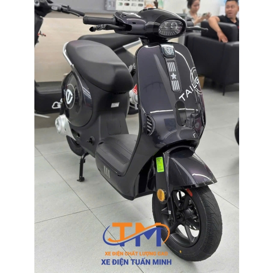 XE ĐIỆN TAILG GR58
